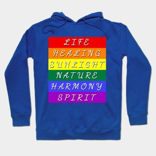 Pride Flag Meaning  LGBTQ Hoodie